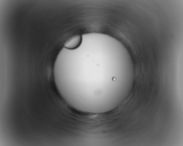 X0000090750130200707201038