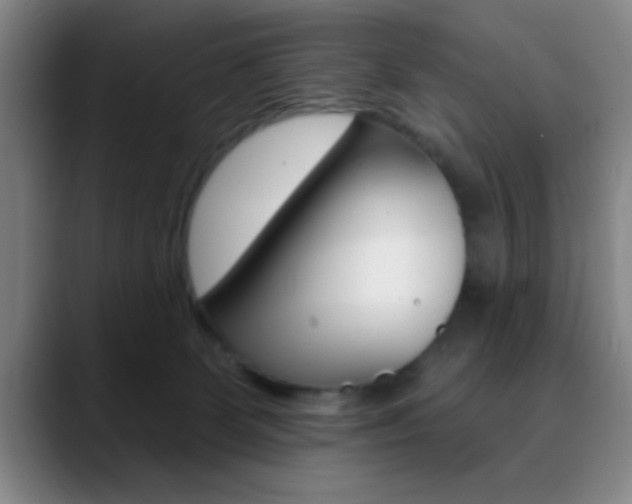 X0000090750131200707201038