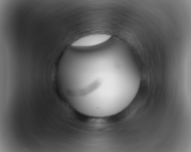 X0000090750133200707201038
