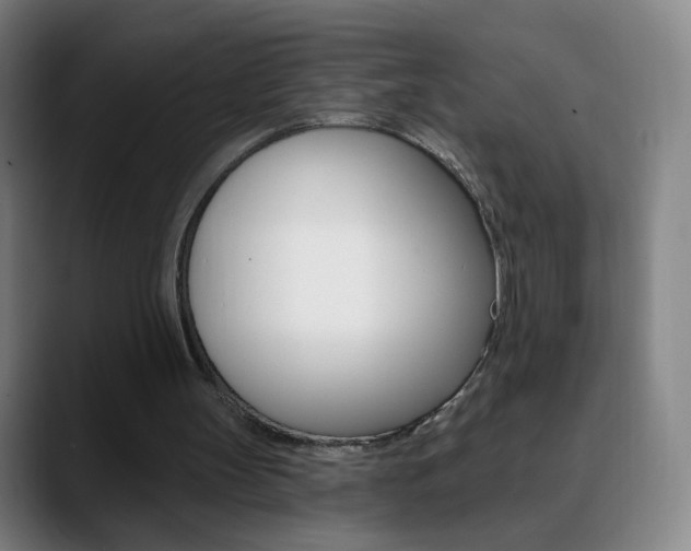 X0000090750147200707201037