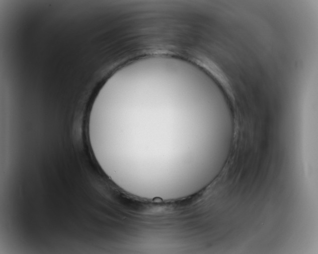 X0000090750155200707201037