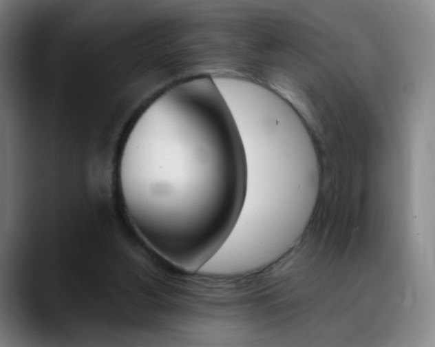 X0000090750156200707201037