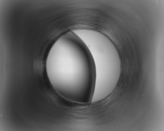 X0000090750160200707201037