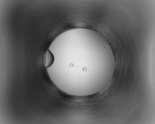 X0000090750175200707201038
