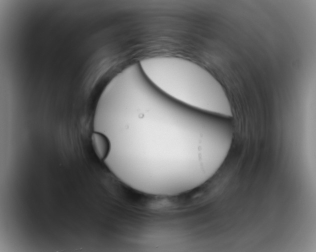 X0000090750177200707201038