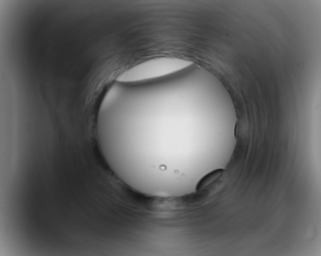 X0000090750181200707201038