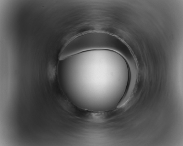 X0000090750188200707201038