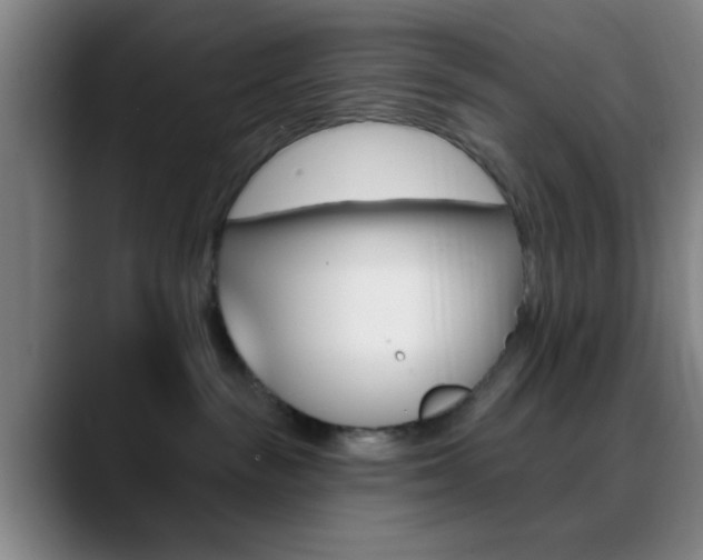 X0000090750189200707201038