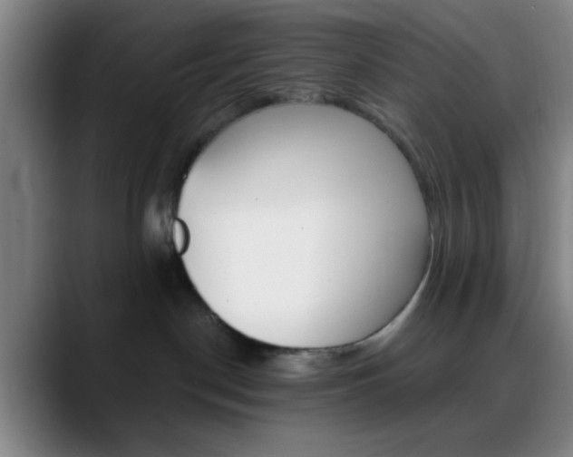X0000090750190200707201038