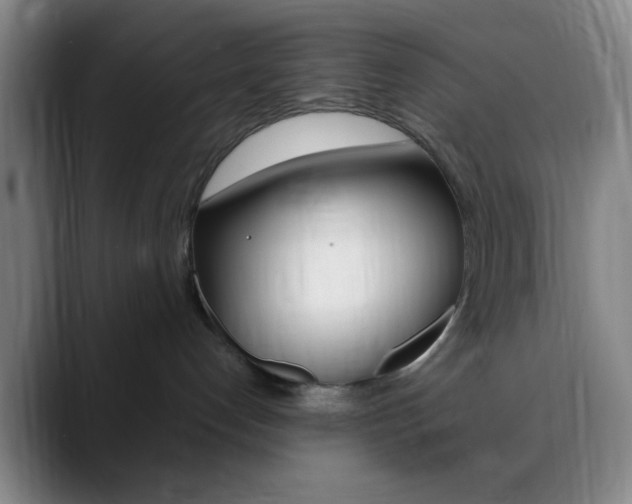 X0000090750192200707201038