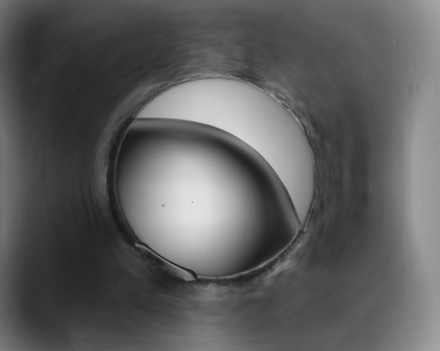 X0000090750197200707201037