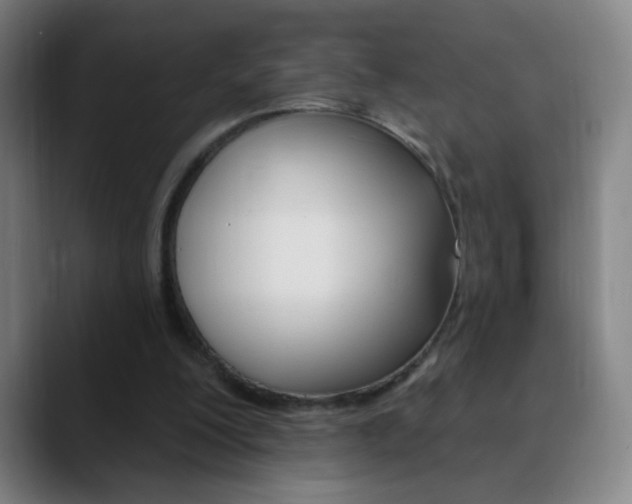 X0000090750200200707201037