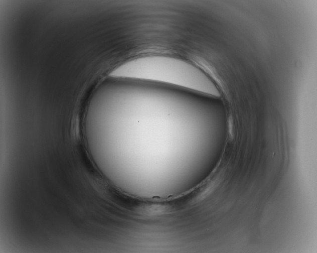 X0000090750205200707201037
