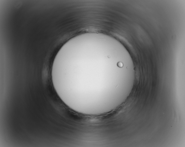 X0000090750208200707201037