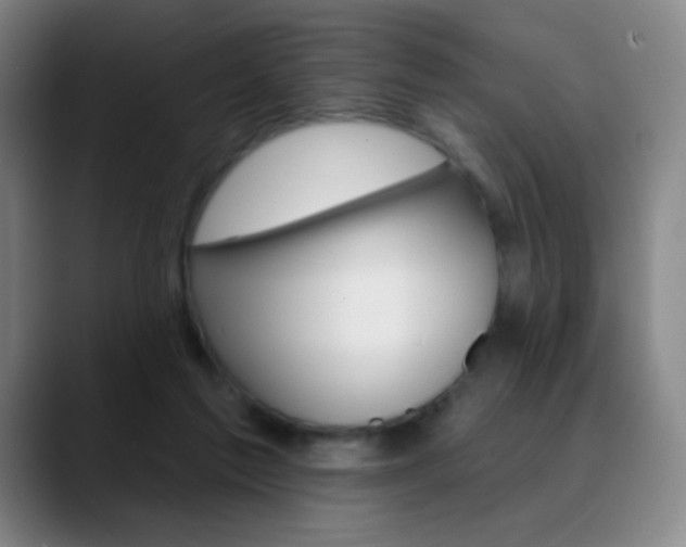 X0000090750213200707201037