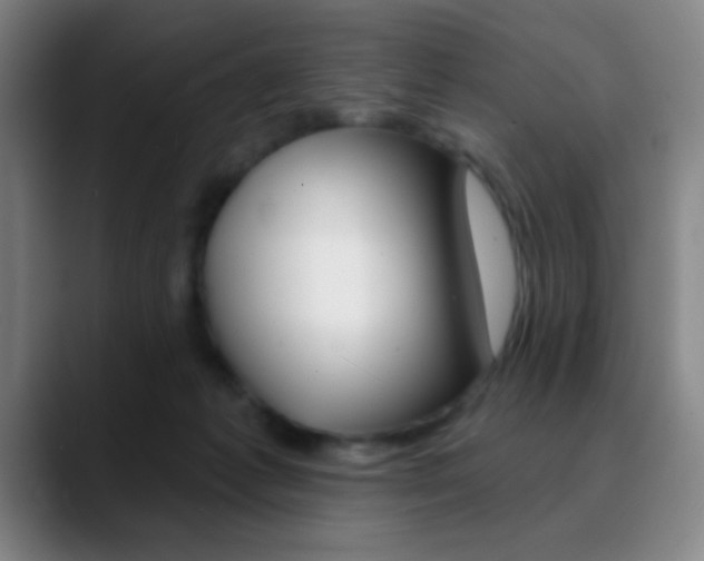 X0000090750221200707201037