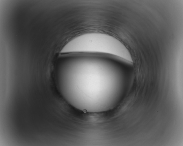 X0000090750229200707201037