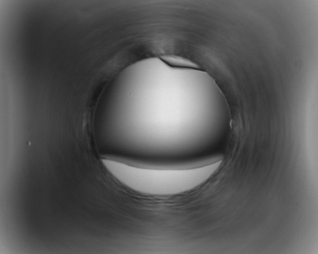 X0000090750233200707201037