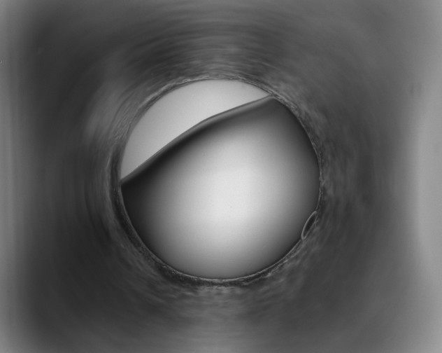 X0000090750242200707201036