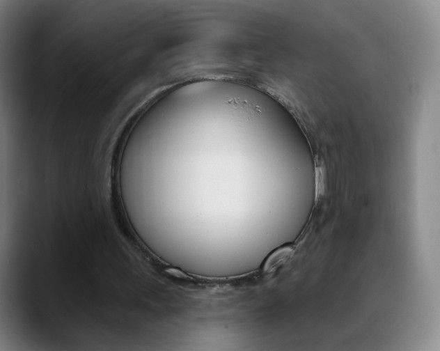 X0000090750243200707201036