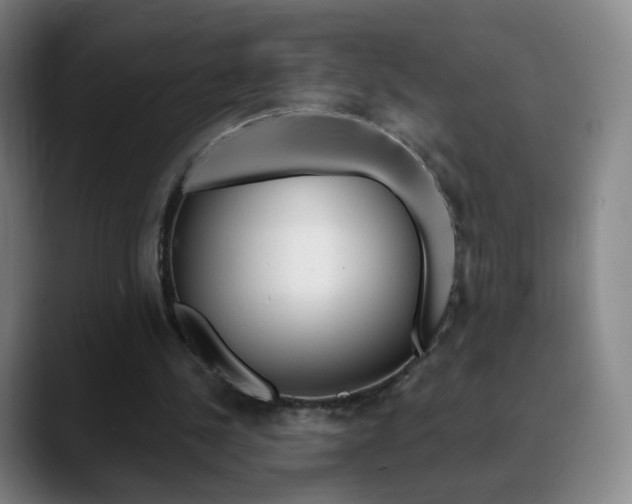 X0000090750244200707201036