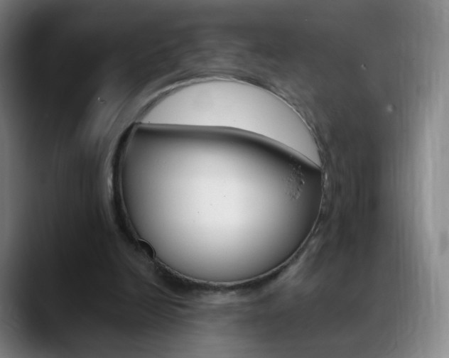 X0000090750246200707201036