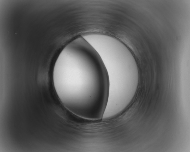 X0000090750252200707201036