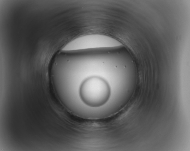 X0000090750254200707201036