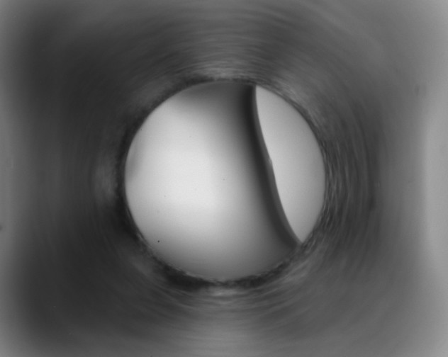 X0000090750255200707201036
