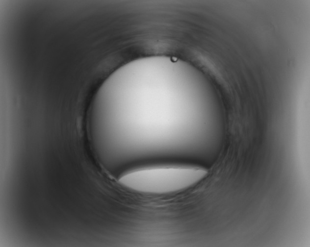 X0000090750258200707201036