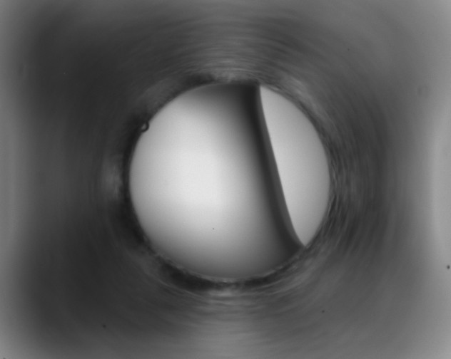 X0000090750259200707201036