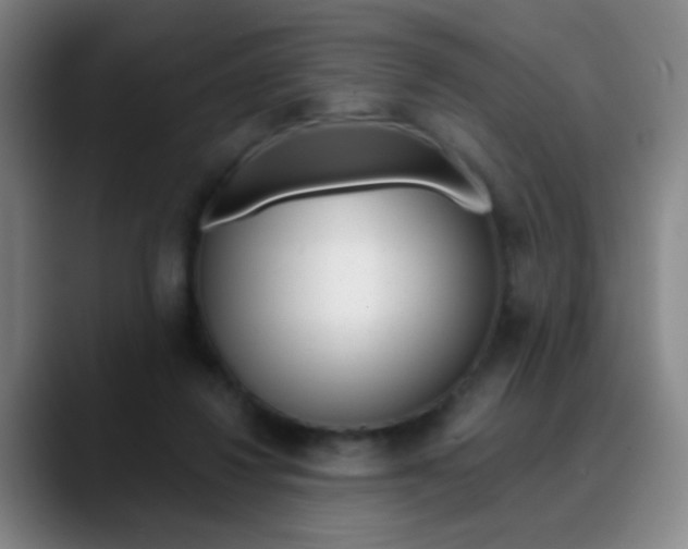 X0000090750260200707201036