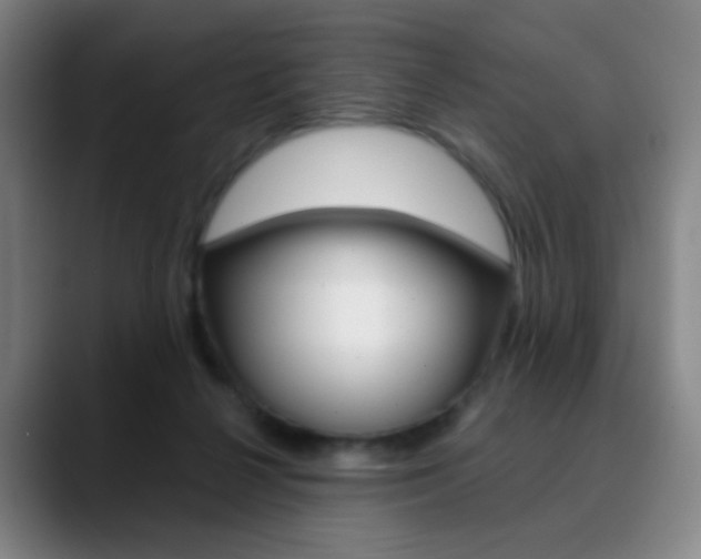 X0000090750264200707201036
