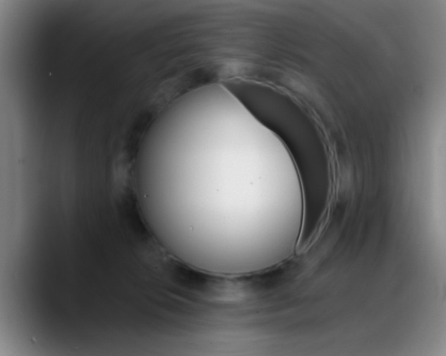 X0000090750276200707201037