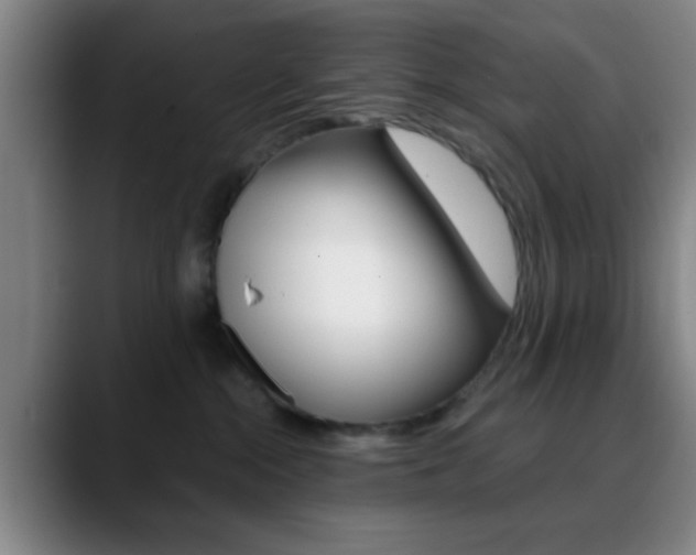 X0000090750284200707201037