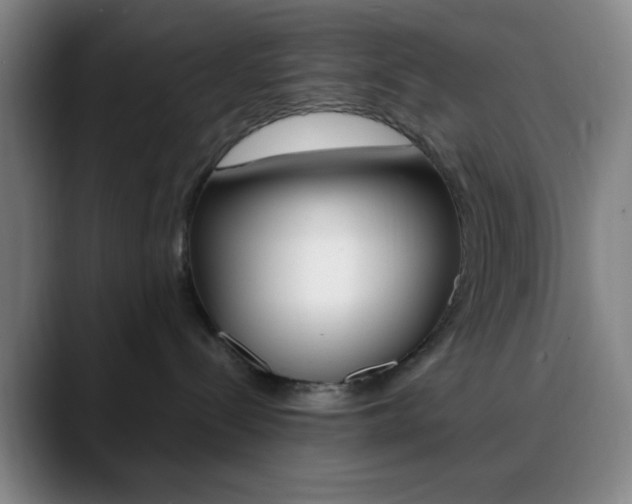X0000090750288200707201037