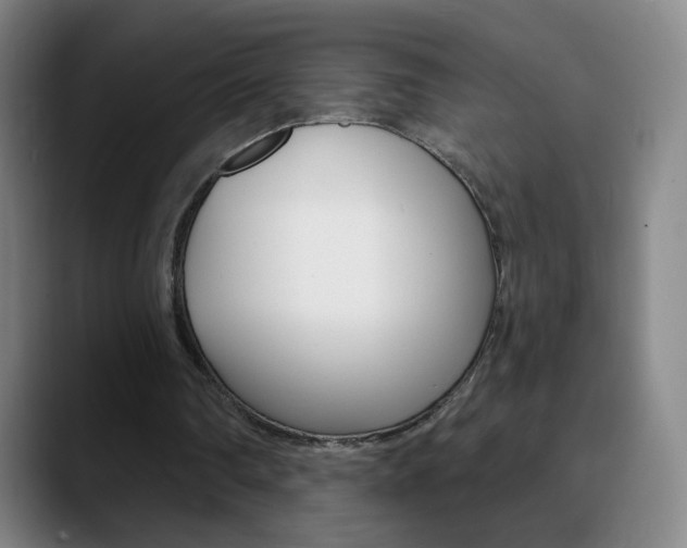 X0000090750290200707201036