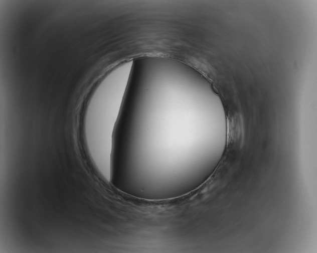 X0000090750291200707201036