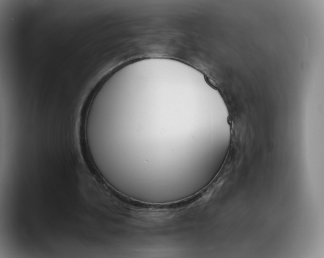 X0000090750292200707201036