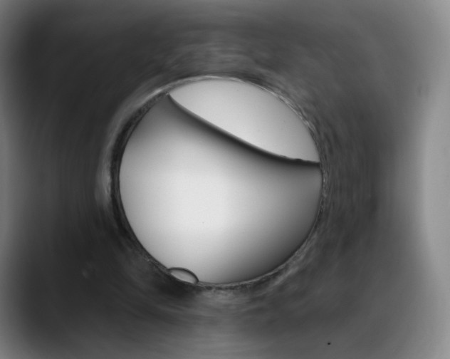X0000090750294200707201036