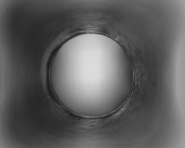 X0000090750295200707201036