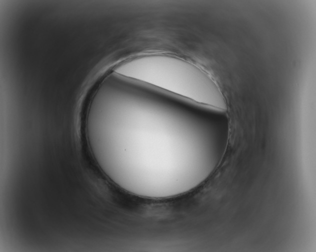 X0000090750296200707201036