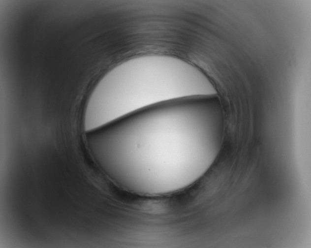 X0000090750303200707201036