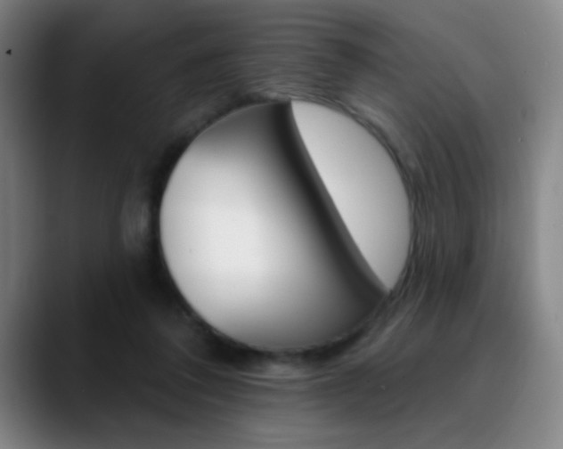 X0000090750308200707201036