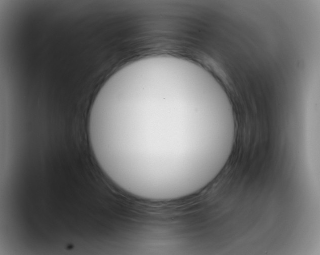 X0000090750313200707201036