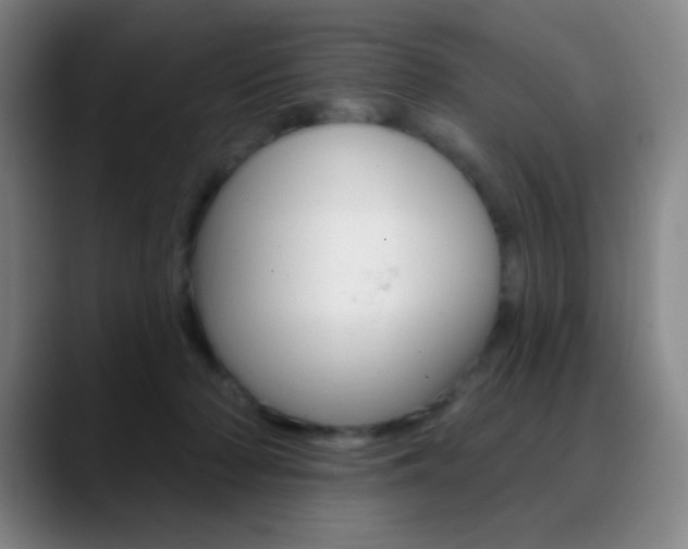 X0000090750318200707201036