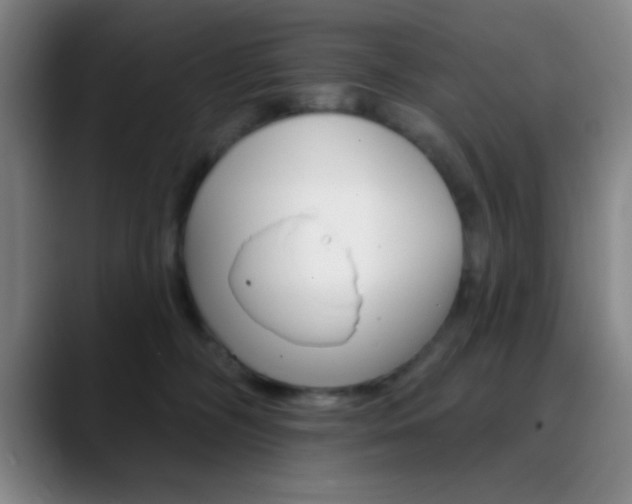 X0000090750326200707201036