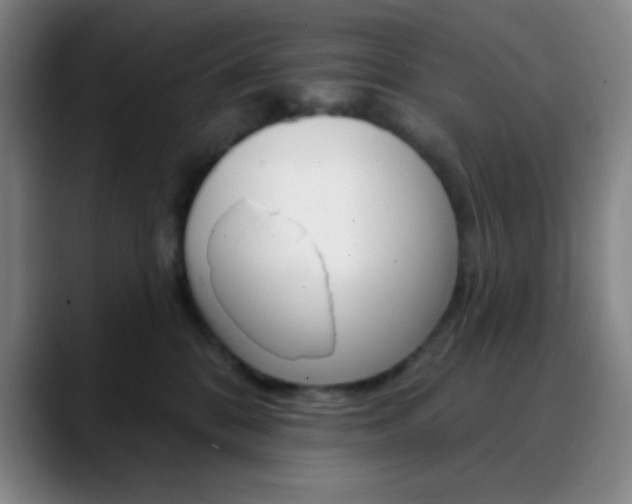 X0000090750328200707201036