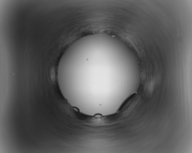 X0000090750335200707201036