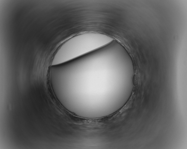 X0000090750338200707201035